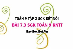 Bài 7.3 SGK Toán 9 tập 2 Kết nối tri thức